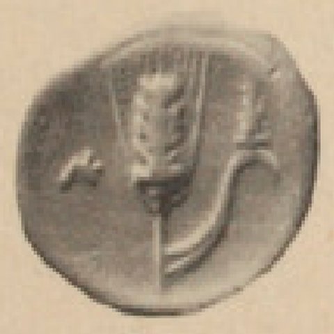 Catalog match, reverse