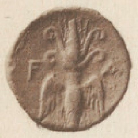 Catalog match, reverse