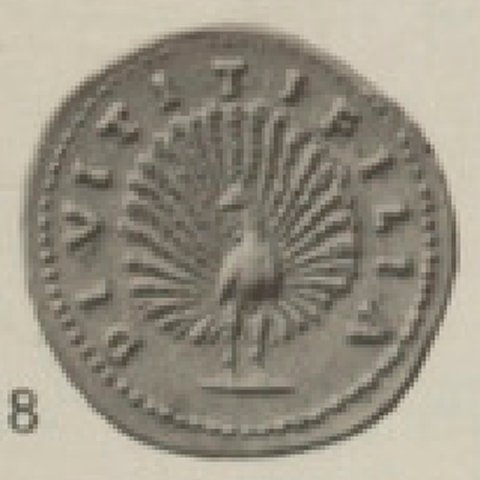 Catalog match, reverse