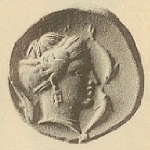 Catalog match, reverse