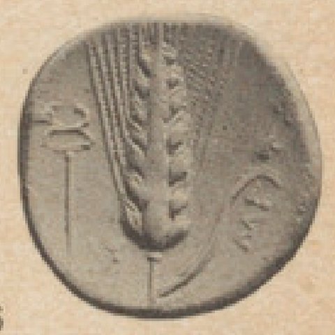 Catalog match, reverse