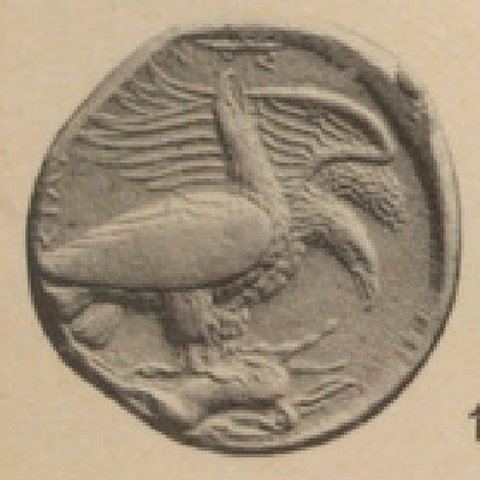 Catalog match, reverse