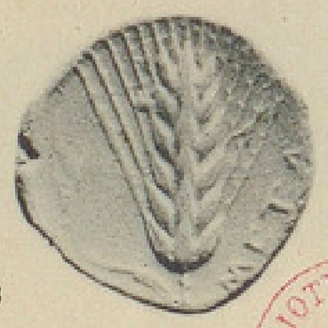 Catalog match, reverse