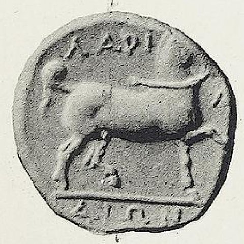 Catalog match, reverse