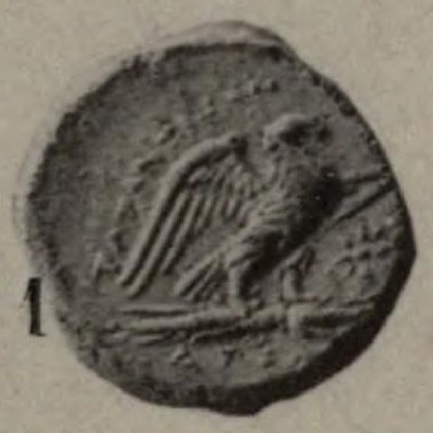 Catalog match, reverse