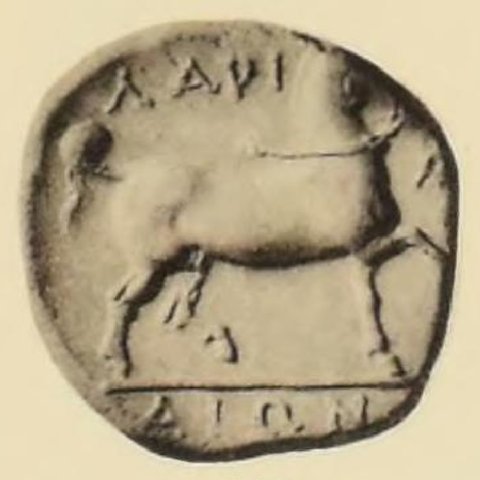 Catalog match, reverse