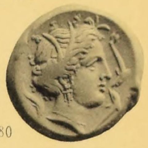 Catalog match, reverse