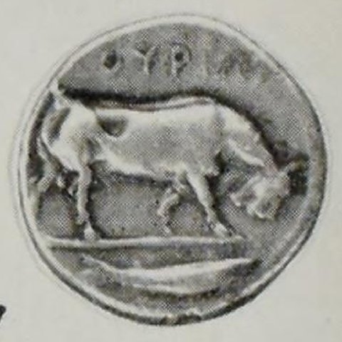 Catalog match, reverse