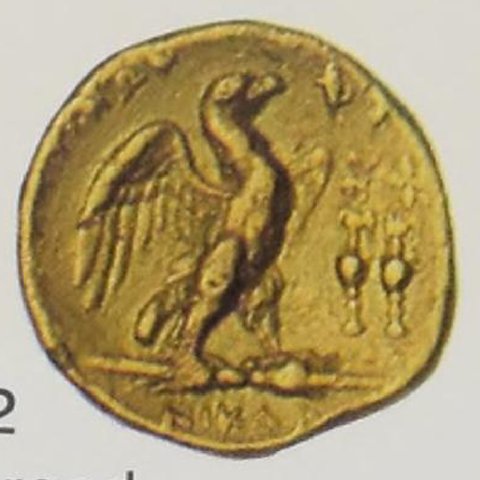 Catalog match, reverse
