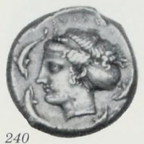 Catalog match, reverse
