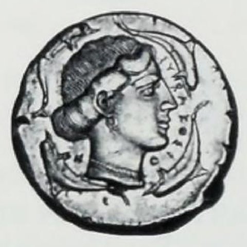 Catalog match, reverse