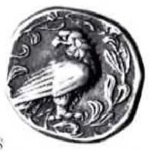 Catalog match, reverse