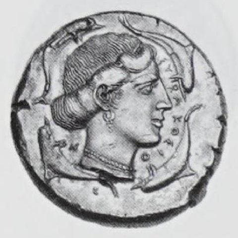 Catalog match, reverse