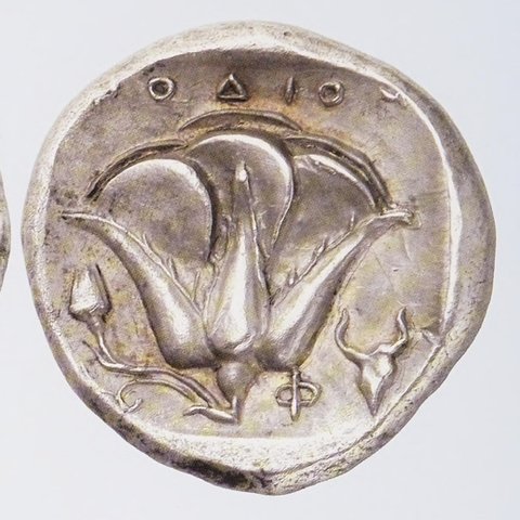 Catalog match, reverse