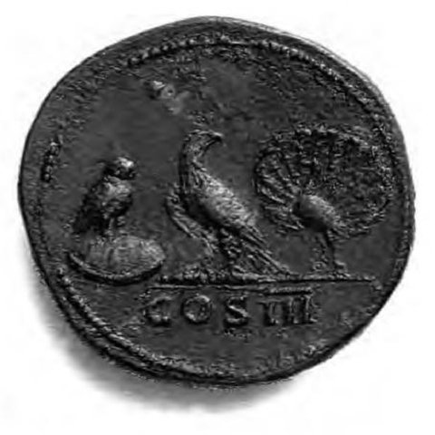 Catalog match, reverse