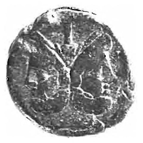 Catalog match, reverse