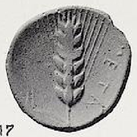 Catalog match, reverse