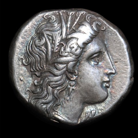 The coin, obverse