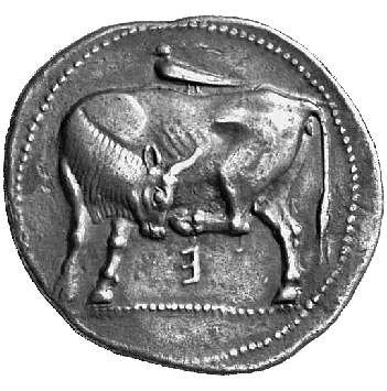 The coin, obverse