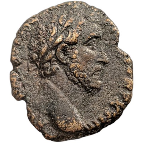 The coin, obverse