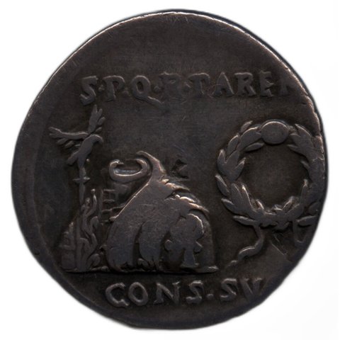 The coin, obverse