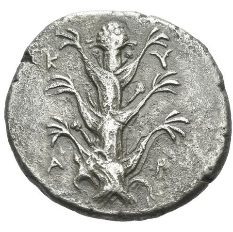 The coin, obverse