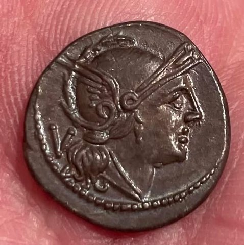 The coin, obverse