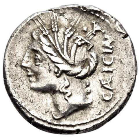 The coin, obverse