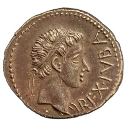The coin, obverse