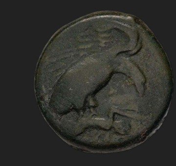 The coin, obverse