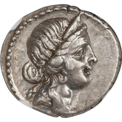The coin, obverse