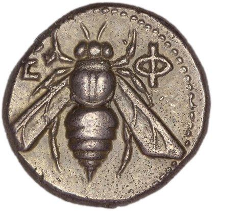 The coin, obverse