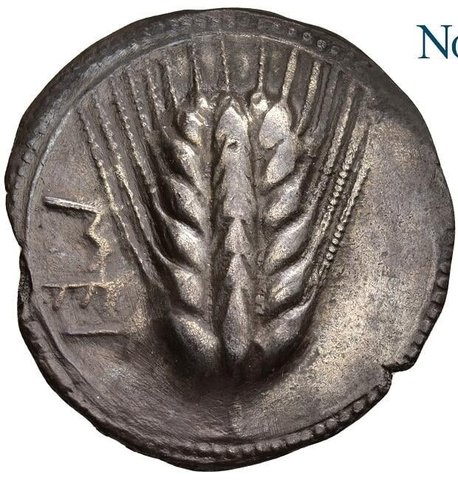 The coin, obverse