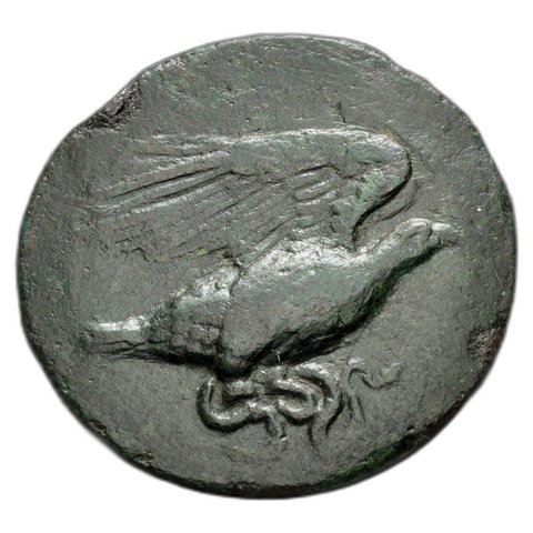 The coin, obverse