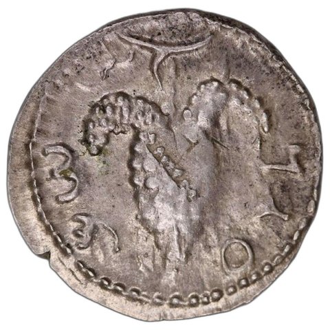 The coin, obverse