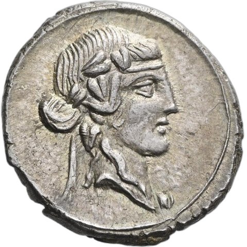 The coin, obverse