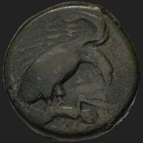 The coin, obverse