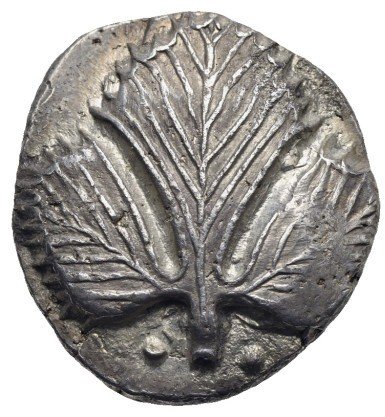 The coin, obverse
