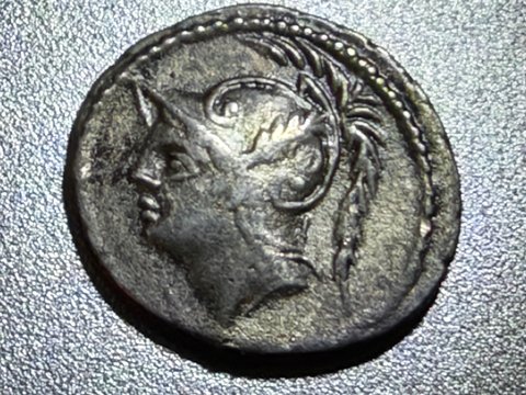 The coin, obverse