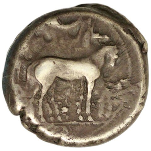The coin, obverse