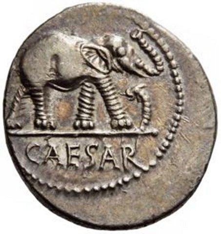 The coin, obverse