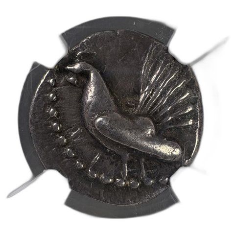 The coin, obverse