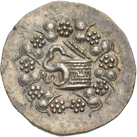The coin, obverse
