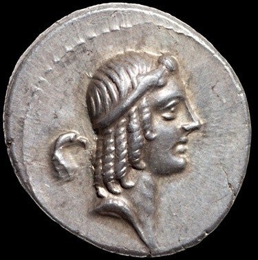 The coin, obverse