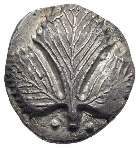 The coin, obverse