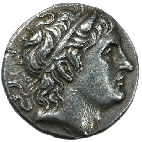 The coin, obverse