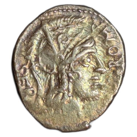 The coin, obverse