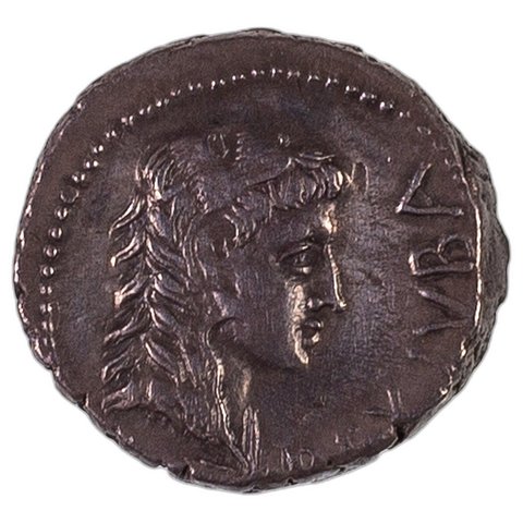 The coin, obverse