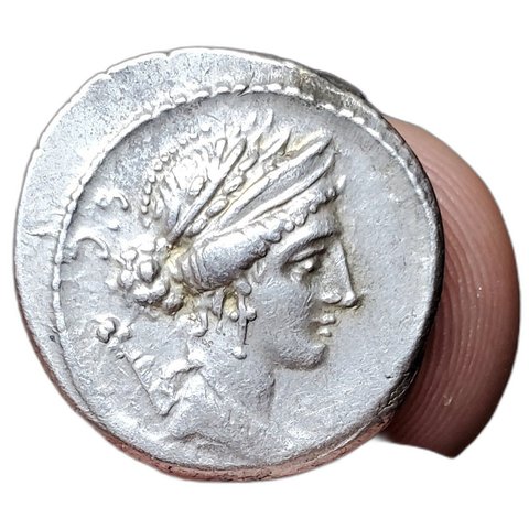The coin, obverse