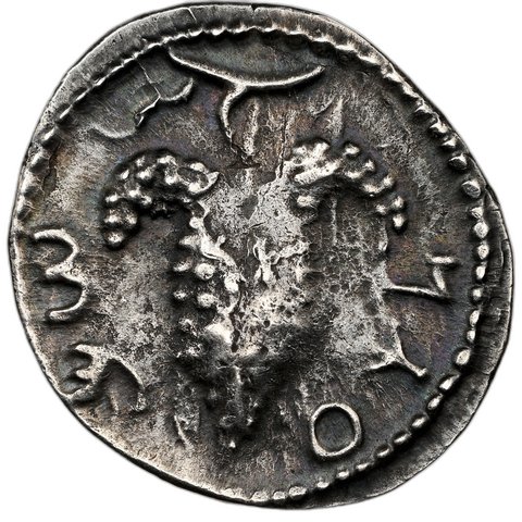 The coin, obverse
